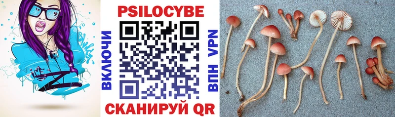 Псилоцибиновые грибы MAGIC MUSHROOMS  Асбест 